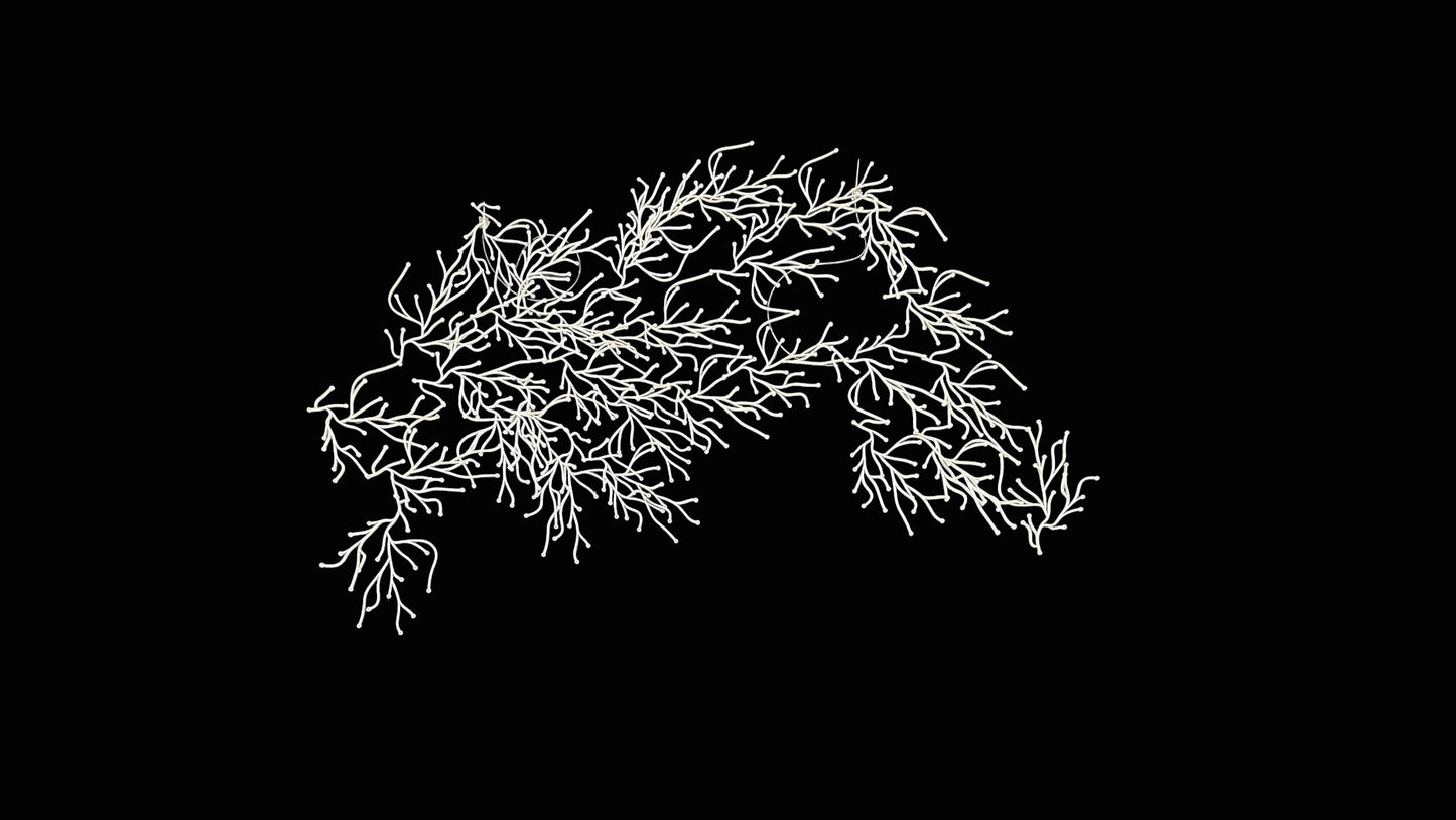 Algues (Algae)  by Ronan &  Erwan Bouroullec for Vitra