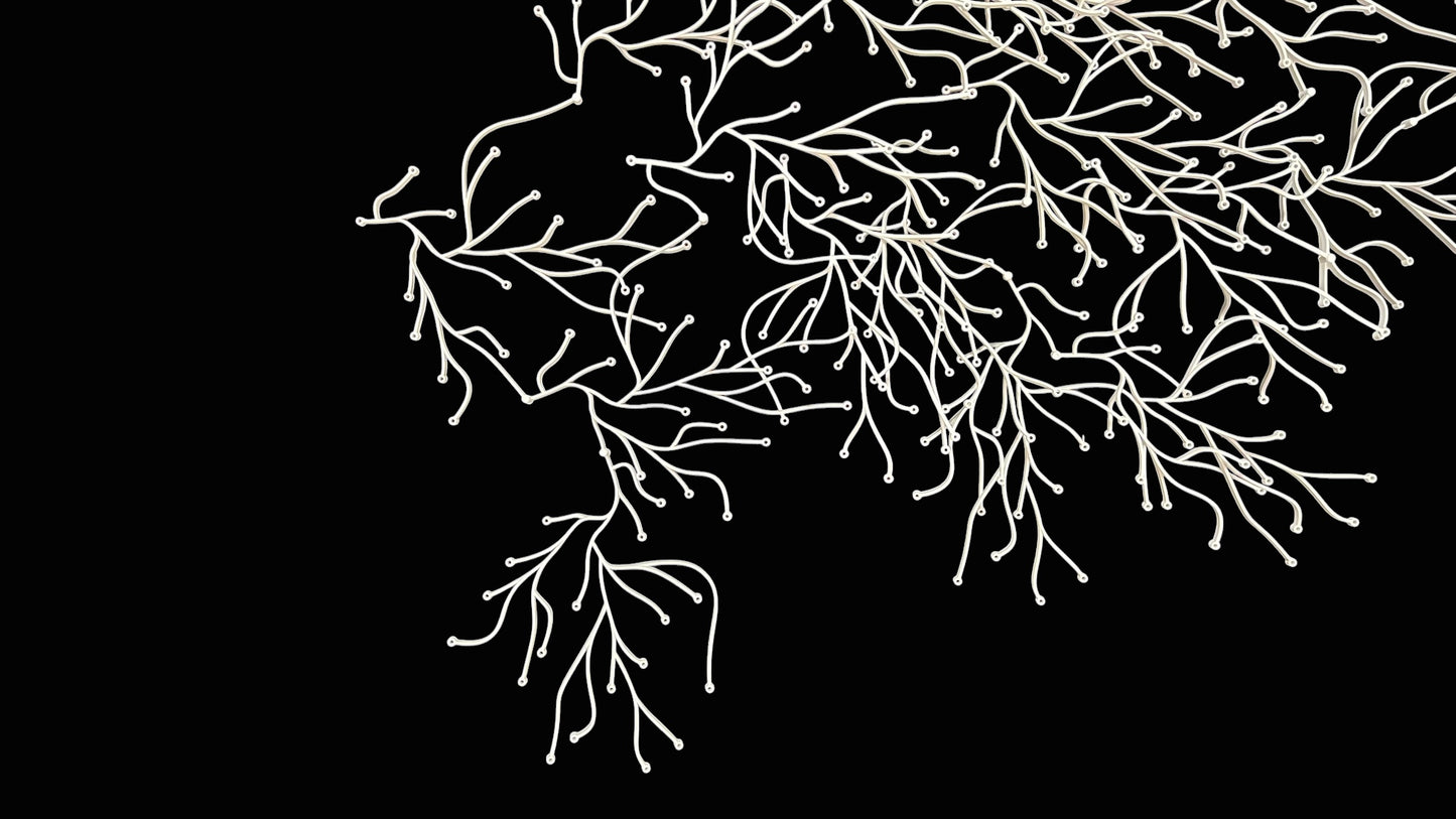 Algues (Algae)  by Ronan &  Erwan Bouroullec for Vitra