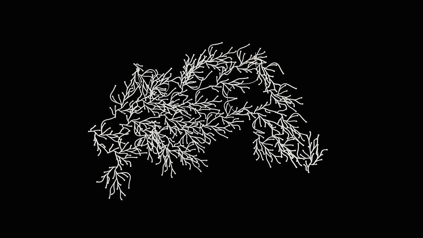 Algues (Algae)  by Ronan &  Erwan Bouroullec for Vitra