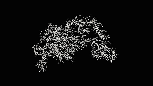 Algues (Algae)  by Ronan &  Erwan Bouroullec for Vitra