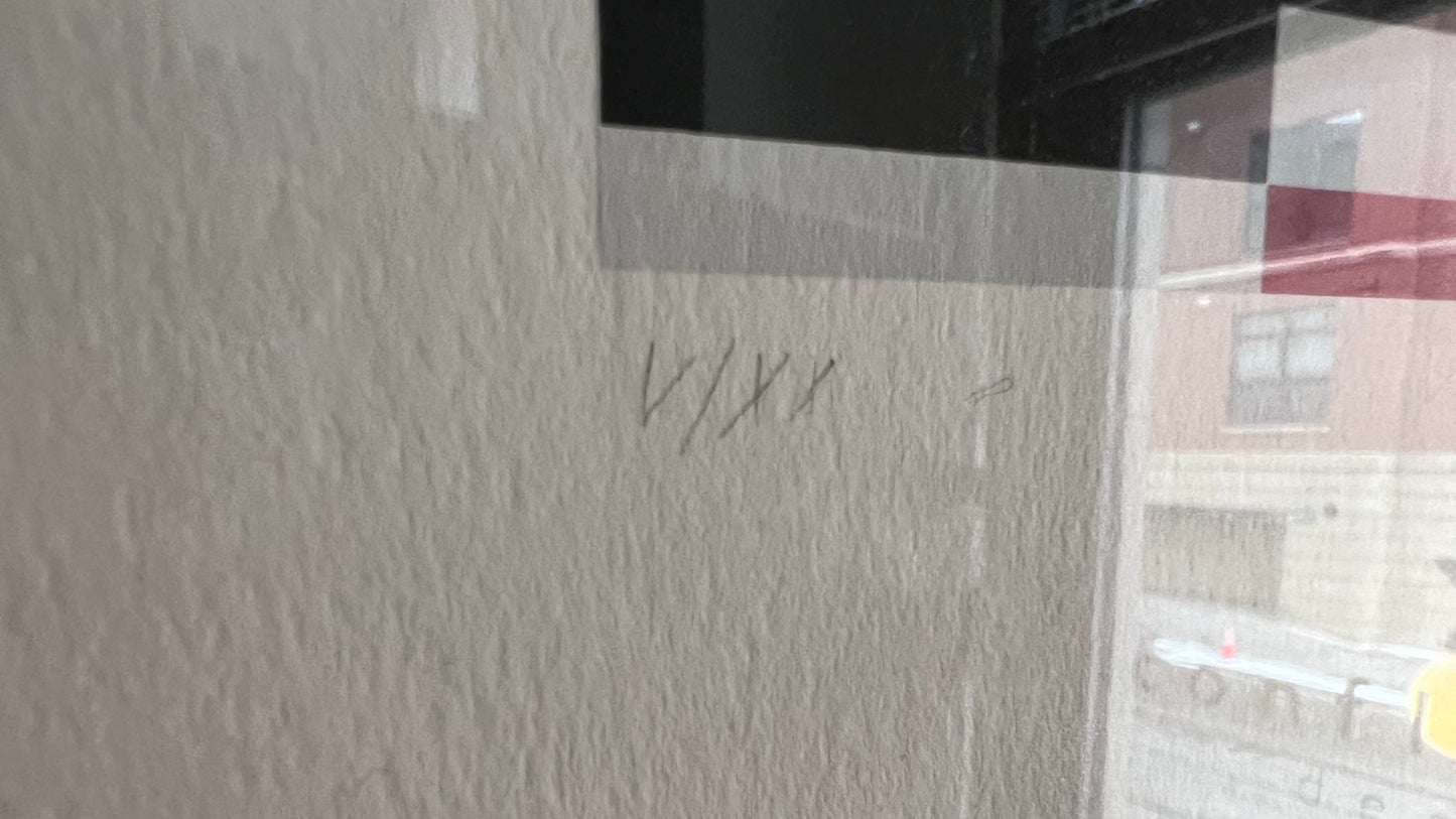 Jo Niemeyer (b. 1946) Lithograph No. V/XX