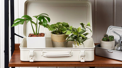 Steel Trunk T-360